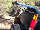 photo thumbnail #13