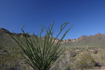 photo thumbnail #1