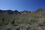 photo thumbnail #2