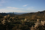 photo thumbnail #9