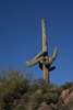 photo thumbnail #11