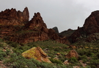 photo thumbnail #10