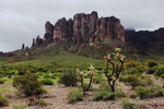 photo thumbnail #15