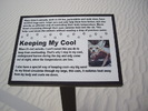 photo thumbnail #12