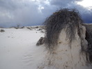 photo thumbnail #15