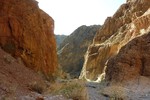 photo thumbnail #10