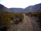 photo thumbnail #3