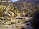 photo thumbnail #8