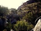 photo thumbnail #10