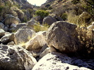photo thumbnail #11