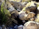 photo thumbnail #12
