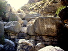 photo thumbnail #14