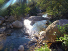 photo thumbnail #1