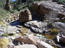 photo thumbnail #8