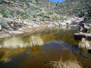 photo thumbnail #13