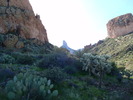photo thumbnail #5