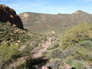 photo thumbnail #6