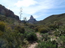 photo thumbnail #10