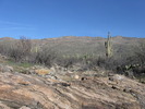 photo thumbnail #1