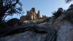 photo thumbnail #10