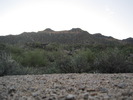 photo thumbnail #1