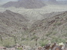 photo thumbnail #11