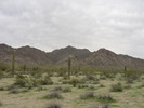 photo thumbnail #12