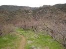 photo thumbnail #3