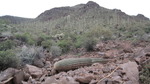 photo thumbnail #6