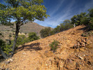 photo thumbnail #4