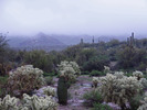 photo thumbnail #1