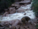 photo thumbnail #3