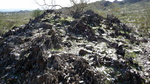 photo thumbnail #4