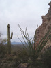 photo thumbnail #2