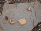 photo thumbnail #13
