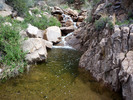 photo thumbnail #11