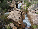 photo thumbnail #14