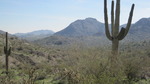 photo thumbnail #2