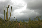 photo thumbnail #10