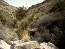 photo thumbnail #8