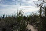 photo thumbnail #1