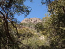 photo thumbnail #5