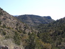 photo thumbnail #6