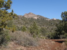 photo thumbnail #7