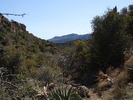 photo thumbnail #13