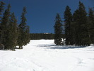 photo thumbnail #1