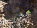 photo thumbnail #12