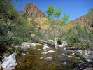 photo thumbnail #13