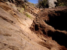 photo thumbnail #12