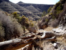 photo thumbnail #13
